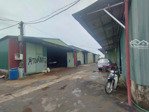 cho thuê nhà xưởng vị trí đẹp, xưởng cao khô thoáng giá tốt
