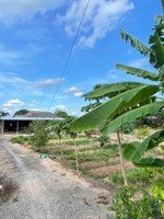 chính chủ bán gấp 16 tỷ giảm còn 15 tỷ. km24 cách ql62 khoảng 3km. mặt tiền đường nhựa xe tải