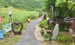 bán rẻ farm du lịch sinh thái đang có đầy đủ cơ sở vật chất tại ninh tây, ninh hòa, khánh hòa