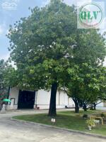 BÁN ĐẤT SKK – KCN VSIP 2, TP. TÂN UYÊN, BÌNH DƯƠNG – 25.000m²