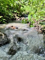 mảnh vườn view hồ trị an - gần sân bay long thành - giá bán chưa đến 1 tỷ tại thống nhất