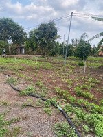 ngộp bank cần bán tài sản tại xã xuân đông, huyện cẩm mỹ, tỉnh đồng nai