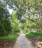 Bán vườn Sapo ấp hội Kim Sơn, Tiền Giang cũ.