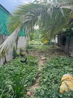 chủ cần thanh lý đất nhánh ql50 thị trấn cần giuộc long an dt 77m2 giá chỉ 595tr sổ hồng riêng.