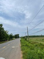 đất mẫu tại hoà thạnh, châu thành, tây ninh, 1.7 mẫu, gần đường nhựa, đất trồng tràm, cao ráo