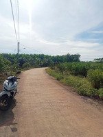 hơn 1,5ha đất gần kcn bàu cạn cần chuyển nhượng