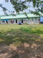 đất 5m x 30m mỹ hạnh bắc lòng an. giá 1.8 tỷ