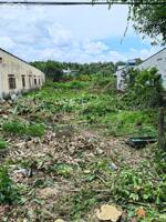 Bán Đất Mặt Tiền Đường Thanh Niên - Bình Chánh DT 14m x 54m - 9.8 Tỷ