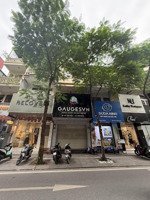 chính chủ cho thuê nhà mp quán thánh, ba đình. 40 m2 4 tầng thông sàn giá 32 triệu