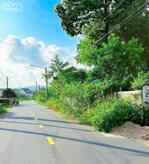  ĐẤT TRUNG TÂM THỊ TRẤN PHƯỚC HẢI – GẦN BIỂN – KHU DÂN CƯ Ở ĐÔNG ĐÚC GIÁ 980Tr