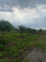 ngộp bank cần bán thửa đất số 99, số 105, số 106, 107, 108 và 109 xã xuân đông, h. cẩm mỹ, đồng nai