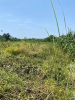 ngộp bank cần bán gấp thửa đất 94 và 95 tbđ 3 tại xã nam cát tiên, huyện tân phú, tỉnh đồng nai