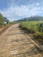 bán đất yên lập 7 triệu / m2, 195.3m2, pháp lý đầy đủ