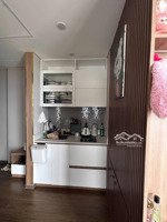 bán căn hộ chung cư 1pn, 1wc, 31m2 tại condotel apec mandala, 1tỷ150 triêu