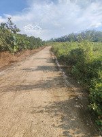 bán đất yên lập, phú thọ, 7 triệu / m2, 196.9m2 giá ưu đãi hot