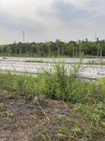 Bán đất lộ hậu kênh Thạnh Đông (lộ 12m), P. Phú Thứ, Q. Cái Răng, Cần Thơ