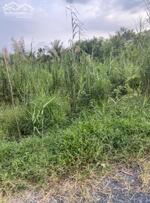 Bán rẻ 295m2 đất lộ hậu kênh Thạnh Đông 12m, phường Tân Phú, quận Cái Răng, TPCT