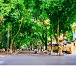 trái tim biệt thự pháp cổ-h,iế,m-đẳng cấp-gần ô tô-dòng tiền ổn định-homestay siêu hút khách-an