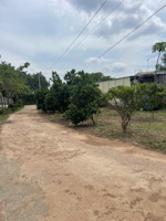 chỉ 356 triệu chủ ngộp bán gấp vườn sầu riêng + nhà cấp 4 tại minh hưng, chơn thành, bình phước