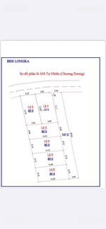 bán đất đất f0 phân lô, xã tự nhiên, s=82m2, cạnh dự án vin, ngõ ô tô tránh, 50m ra đường nhựa