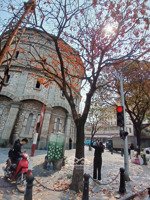 nhà phố hàng đậu, khu trung tâm phố cổ quận hoàn kiếm