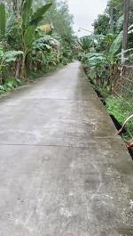 bán đất mỹ khánh, cần thơ gần vườn 9 hồng, cách nguyễn văn cừ, viện trúc lâm 800m gần kdl mỹ khánh