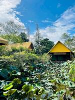 Homestay đầy đủ tiện nghi view cực chill