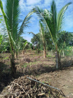 bán đất khu dân cư 401m2 chỉ 530 triệu tại thôn suối sâu - xã khánh đông - khánh vĩnh