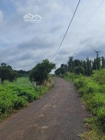 bán gấp đất nền 1000m2 tại bàu lâm, xuyên mộc, giá ưu đãi 1 tỷ vnd