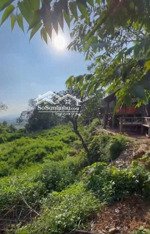 bán lô đất nghỉ dưỡng trên đồi họa sỹ, dt 1600m2. đất vườn, đường ô tô vào, view đẹp