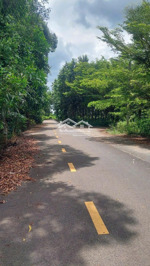 lô đất đẹp gần chợ và trường học thổ cư 100%, đường lớn thoáng mát, vị trí hoàn hảo để an cư