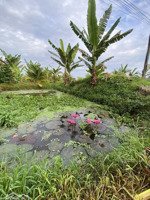 490 triệu 1000 mét vuông. 5 phút gần chợ. tổng 6850,6 mét vuông. làm khu nghỉ dưỡng, kho, xưởng