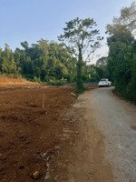 đất khoáng nóng 34 độ kim bôi,hoà bình