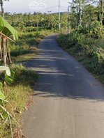 chủ cần tiền bán gấp lô đất 7 sào 5 mặt tiền đường nhựa giá rẻ để giải quyết công việc