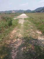 bán đất tại đường tỉnh lộ 725, đạ kho, đạ tẻh, lâm đồng, giá siêu hời 1,85 tỷ, 9100 m2