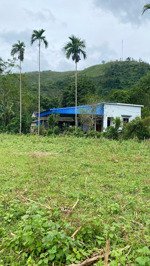 bán đất nghỉ dưỡng tại xóm cuôi,bình sơn,kim bôi,hoà bình cũ