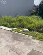 Bán đất 61m2 Kiến Phong An Dương Hải Phòng