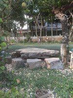 tây, ta sd nhà vườn 600m2, ngõ phố an dương, yên phụ, tây hồ.