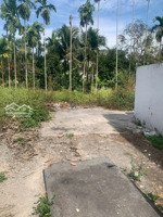 bán đất lái thiêu ngợp giá 1ty sổ riêng 70m có thổ cư gần cầu bình nhâm