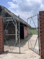 cho thuê 950m2 đất có nhà chòi giá rẻ