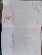 Chính chủ bán đất full thổ cư tại Ấp Bình Cang 2, Xã Thủ Thừa, tỉnh Tây Ninh (giáp phường Long An)