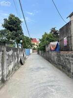 Bán đất 61m2 Kiều Trung An Dương Hải Phòng