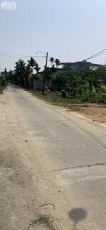 Chính Chủ Bán 1167,3m2 Đất Tại Xã Nghĩa Thuận, Huyện Tư Nghĩa, Quảng Ngãi.