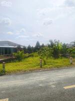 bán 7200m2 đất vườn sầu riềng, lộ tỉnh 926 xã trường long, 1 triệu/m2