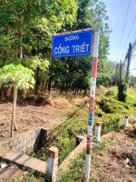 chỉ 3 tỷ có 1132.5m2 mặt tiền dài 25m đường cống triết, bình dương