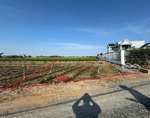 bán đất tại mạc văn thành, tân đông, gò công đông, tiền giang, 1 tỷ, 730 m2 đẹp, tiện ích