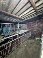 M956: Cho thuê căn hộ Lam Sơn, Lê Chân