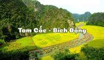 bán đất tại xã ninh hải, huyện hoa lư, ninh bình, giá cực chất 15,3 tỷ, 270m2 hot!