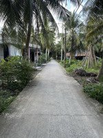 bán đất mặt tiền đường bê tông 3,5m tại ấp bình đông2-xã hương mỹ-tỉnh vĩnh long