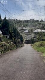 1,2 sào làm Homestay trong hẻm có nhiều Homestay nhất Phường 2, Bảo Lộc